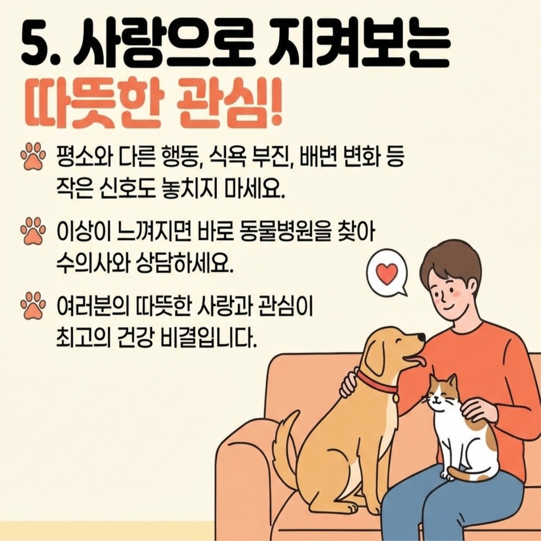 사랑으로 지켜보는 따뜻한 관심!
평소와 다른 행동, 식욕 부진, 배변 변화 등 작은 신호도 놓치지 마세요.
이상이 느껴지면 바로 동물병원을 찾아 수의사와 상담하세요.
여러분의 따뜻한 사랑과 관심이 최고의 건강 비결입니다.